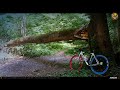 VIDEOCLIP Cu bicicleta prin Bucuresti: Calea Victoriei - Padurea Baneasa - Orasul Fantoma - Centru [VIDEO]