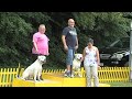 Kravaře: Soutěž amerických buldoků Iron Dog European