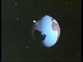 I Movimenti della Terra