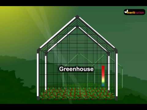 Green house effect and Global Warming