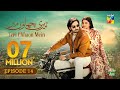 Teri Chhaon Mein - Ep 14 [CC] - 29 Aug 2024 Sponsored By Jhalak Beauty Cream - Danish Taimoor Drama