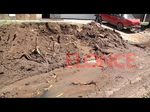 Quitó un árbol de la vereda, rompió un caño maestro y vecinos quedaron sin agua