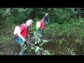 Petrovice u Karviné: Hubení komárů │ Povodně 2020