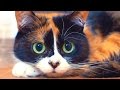10 ЛАЙФХАКОВ КОТОРЫЕ ОБЛЕГЧАЮТ ЖИЗНЬ 10 ЛАЙФХАКОВ КОТОРЫЕ ОБЛЕГЧАЮТ ЖИЗНЬ
