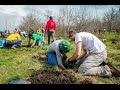 VIDEOCLIP Plantare de primavara pentru Padurea Copiilor - 2 / 2 aprilie 2016
