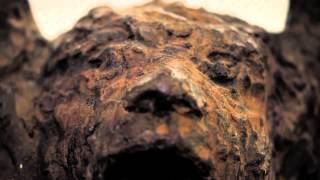 Xico Stockinger (trailer HD)