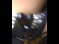 Image Video Sex Janda Kasep