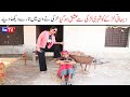 Noor Nazeer Numberdar Wada Shehri Larki New Funny Video  Most Comedy Funny Video  You Tv Hd 2025