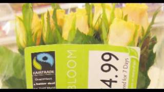 Blue Gold : World Water Wars (Trailer)