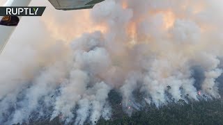 Лесные пожары в Бразилии сняли с высоты птичьего полёта (26.08.2019 11:27)