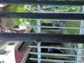 Photo Lalat Buat Sex