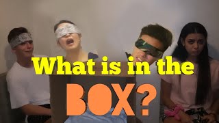 Whats in the box challenge ft. Bailey, Josh, Hina and Sabina!Whats in the box challenge ft. Bailey, Josh, Hina and Sabina!