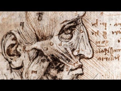 Leonardo: Anatomist - by Nature Video