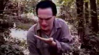 Return to the Woods Teaser