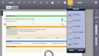 Introducing Report Designer for iPad 2 and Previewing in PDF, HTML - Stimulsoft Reports