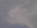 Newborn Sylph Assassinated by Invisible Death Ray