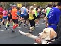 Quand tu fais un marathon... Quand tu fais un marathon...