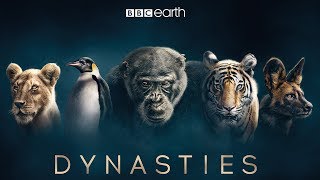 Dynasties: First Look Trailer | New David Attenborough Series | BBC Earth