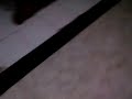 Picture Vid 20130711 00001