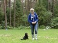 \"Mój gryfonik potrafi\"