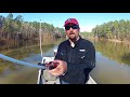 Image How To Find Fish Bass Fishing