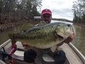 Photo How To Find Fish Bass Fishing