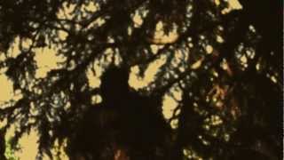 Darge Dinner Theatre: "The Battle for Savage Hill Movie Trailer 1"