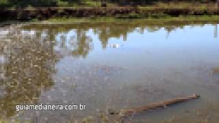 Idosa morre afogada em Serranópolis do Iguaçu