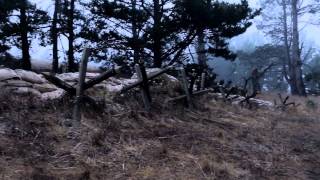 Shadow's Past: A Nazi Zombie Series (Trailer)