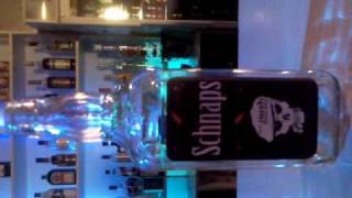 Mr. Irish Bastard Videodreh zu "Skin and Bones": Teaser :D