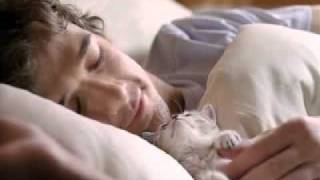 Whiskas "Mother" ad