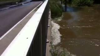 Hochwasser - Wasser umschließt Schönhausen