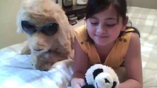Bruno Mars "The Lazy Song" OFFICIAL VIDEO Cover by Jasmine age 10 [Clean Version / Lyrics]