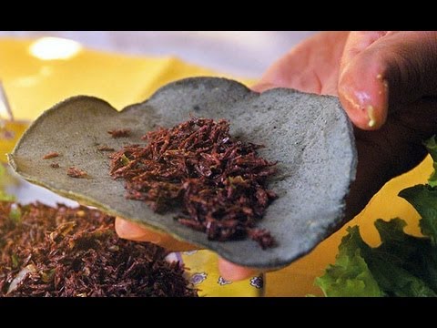 Eating Bugs To Save The World?