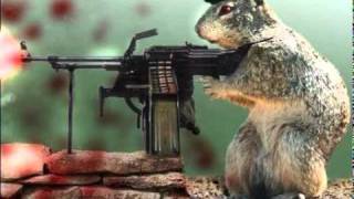 squirrels with guns