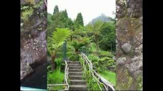 Madeira Trailer 2012