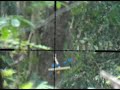 Image Senapan Angin Spartans Test 50m Dengan Scope Came