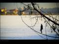 VIDEOCLIP Excursie foto cu Orasul.ro: Obor - Lacul Fundeni