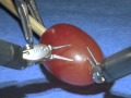 robotic surgery on a grape