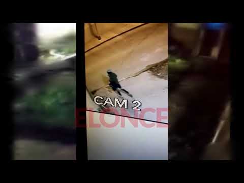 Entraron a robar hasta diez veces y en la última les llevaron el triciclo del nene (Parte II)