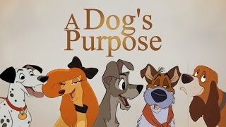 A Dog's Purpose ~ Disney Trailer