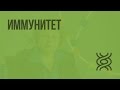 Иммунитет Иммунитет