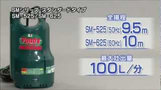 KOSHIN 水中ポンプ 2 清水用 SMシリーズ