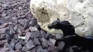 The Secrets Of The Heart: Trailer