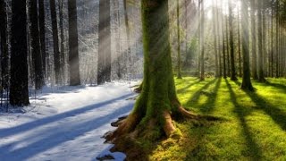Земля пережила самую теплую зиму в истории