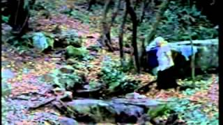 Trailer HAMACA PARAGUAYA (ARG/F/AT/PAR 2006) von Paz Encina