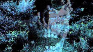 Animus: The Tell-Tale Heart (2015) - Official Trailer