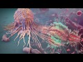 Фрагмент с начала видео 10 фактов об ИММУННОЙ СИСТЕМЕ - Иммунитет, его СТРОЕНИЕ, назначение, КЛЕТКИ и их БОРЬБА с ВИРУСАМИ Фрагмент с начала видео 10 фактов об ИММУННОЙ СИСТЕМЕ - Иммунитет, его СТРОЕНИЕ, назначение, КЛЕТКИ и их БОРЬБА с ВИРУСАМИ