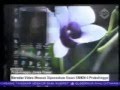 Photo Video Mesum Siswi Smkn Probolinggo Beredar 15 Juni 2013 Youtube