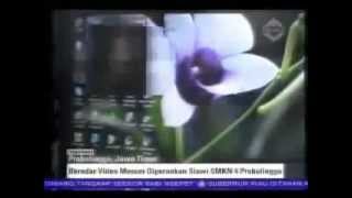 Photo Video Mesum Siswi Smkn Probolinggo Beredar 15 Juni 2013 Youtube